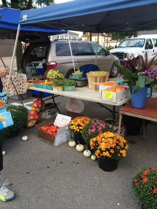 Platteville Farmers Market II photo 2