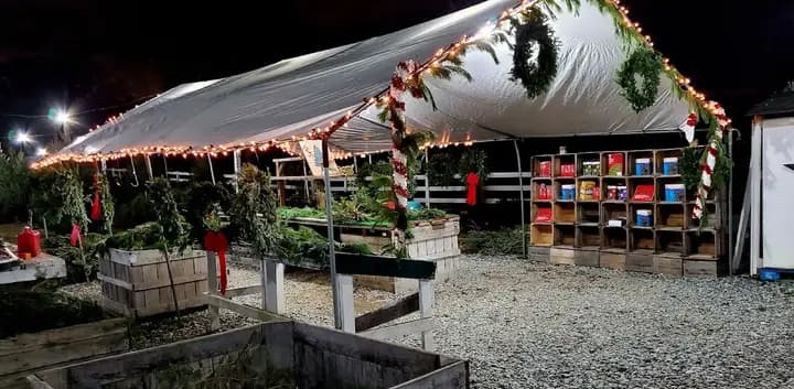 Potomac Village Farmers Market photo 2