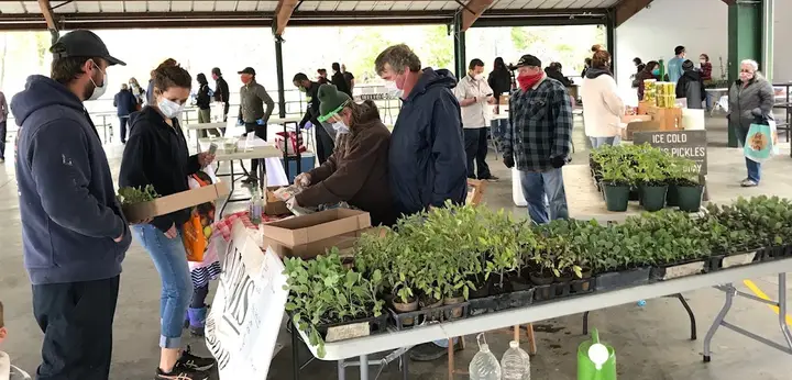Poughkeepsie Farmers' Market photo 2