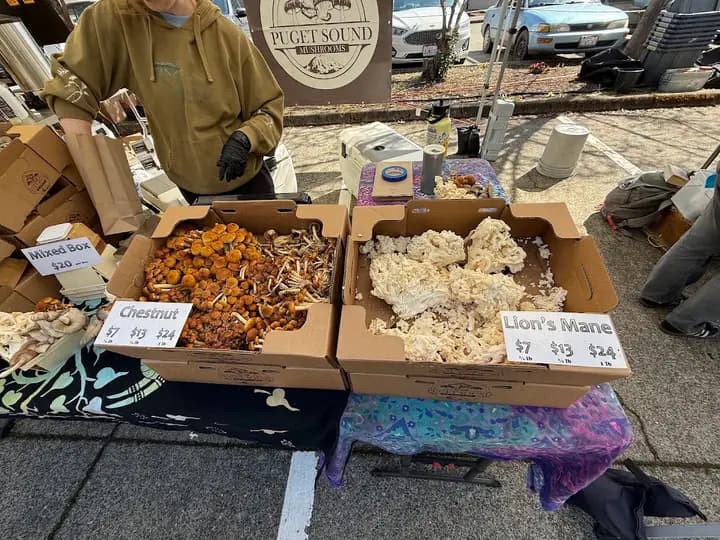 Poulsbo Farmers Market photo 2