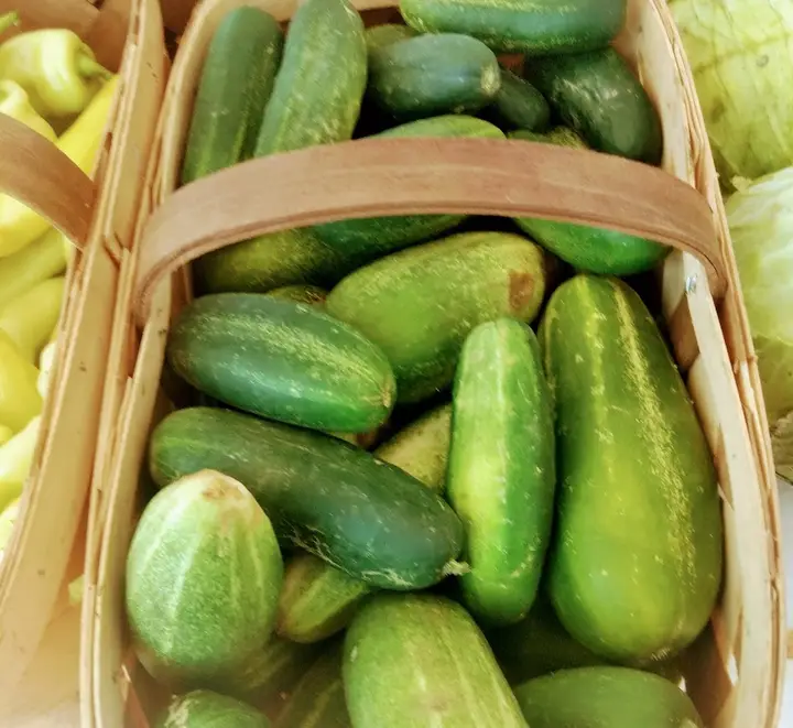 Powell County Farmers Market