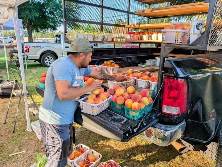 Prattville Autauga Farmers Market photo 2