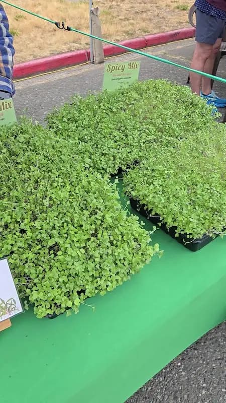 Proctor Farmers' Market photo 2