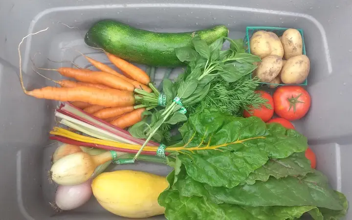 Pullman Farmers Market