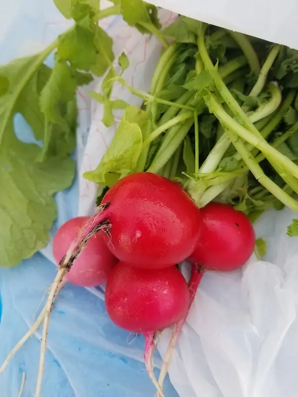 Raytown Farmers' Market photo 2