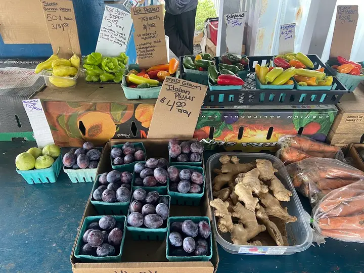 REC Mobile Farmers Market - Green Hill Towers photo 2