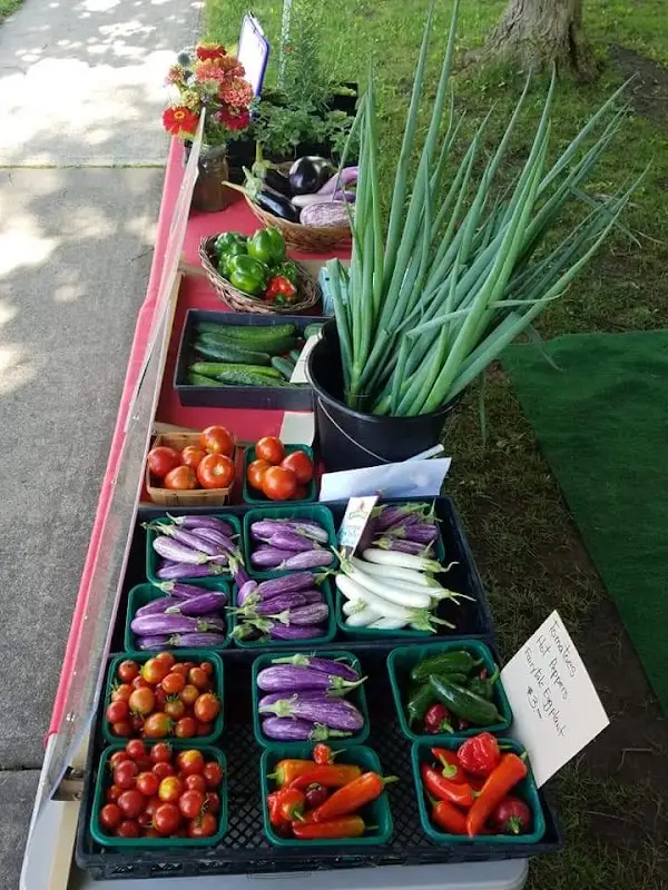 Richfield Springs Area Farmers Market