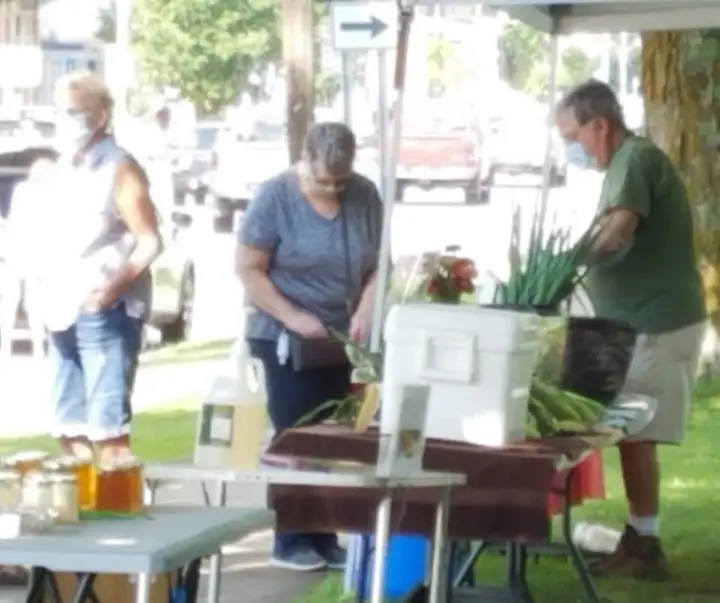 Richfield Springs Area Farmers Market photo 2
