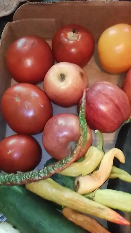 Robertson County Farmer's Market photo 2
