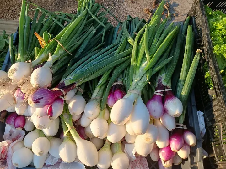 Robeson County Farmers Market