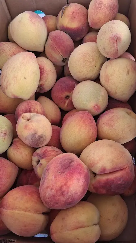 Rockmart Farmers Market photo 2