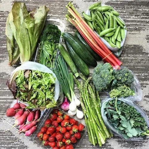 Rockton River Market