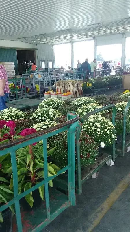 Rockville Produce Auction LLC