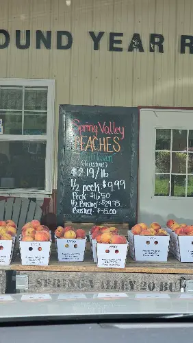 Romney Farmers Market