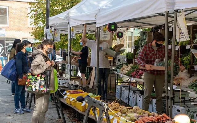 Roslindale Village Main Street Farmers Market photo 2