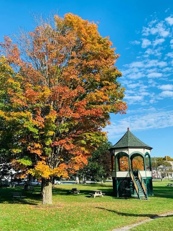 Royalton Farmers Market