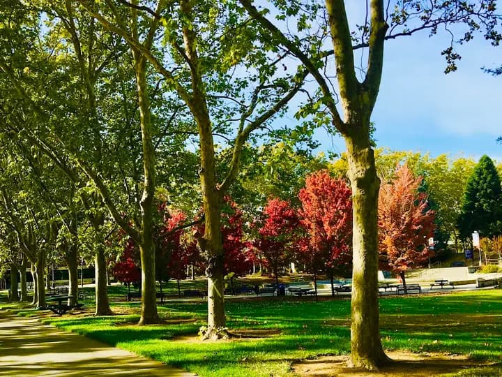 Sacramento Consumnes River College CFM