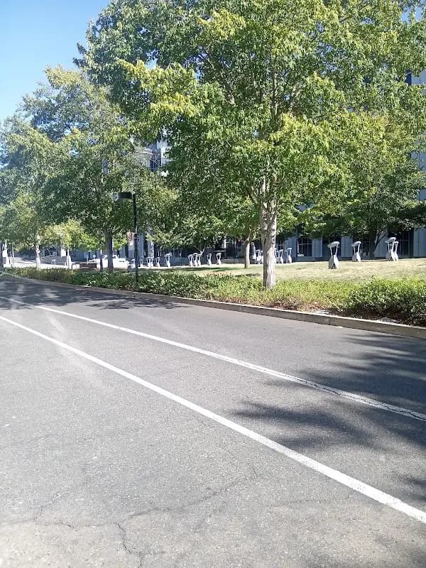 Sacramento Consumnes River College CFM photo 2