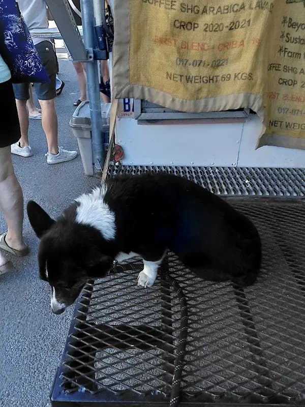Salt Lake City Downtown Farmers Market photo 2