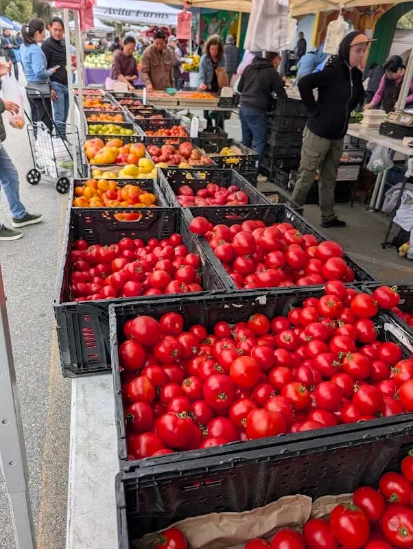 San Francisco Alemany Farmers Market photo 2