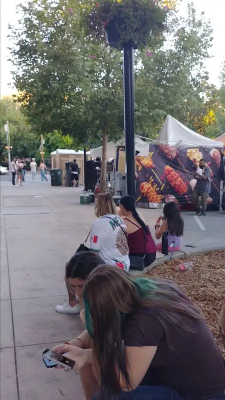 Santa Rosa Downtown Market (Wednesday Night Market) photo 2