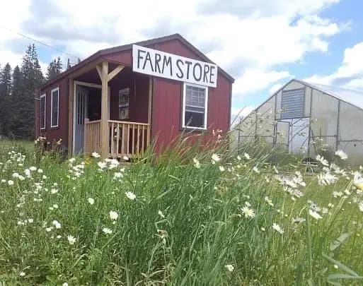 Saranac Lake Farmers' Market photo 2