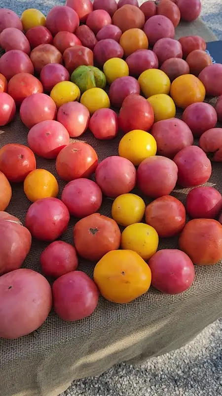Scarborough Farmers' Market photo 2