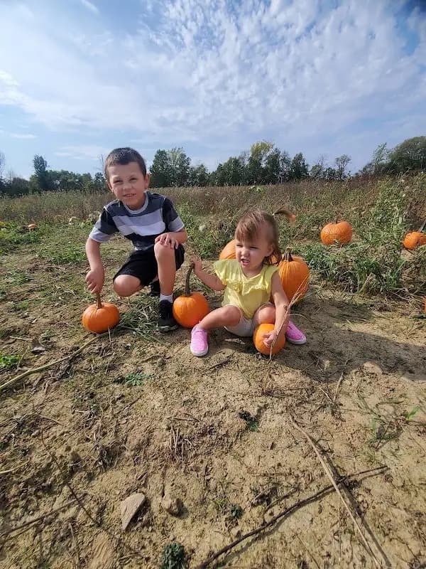 Schmidt Family Farms
