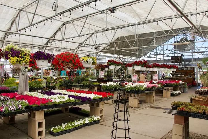Schmidt's Farm and Greenhouses photo 2