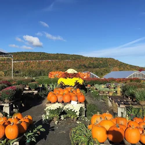 Schoharie Fresh