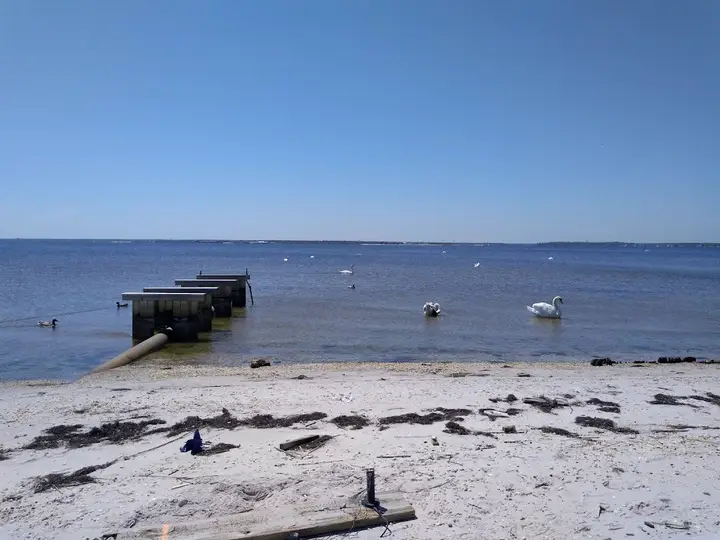 Seaside Park Marina Farmers Market photo 2