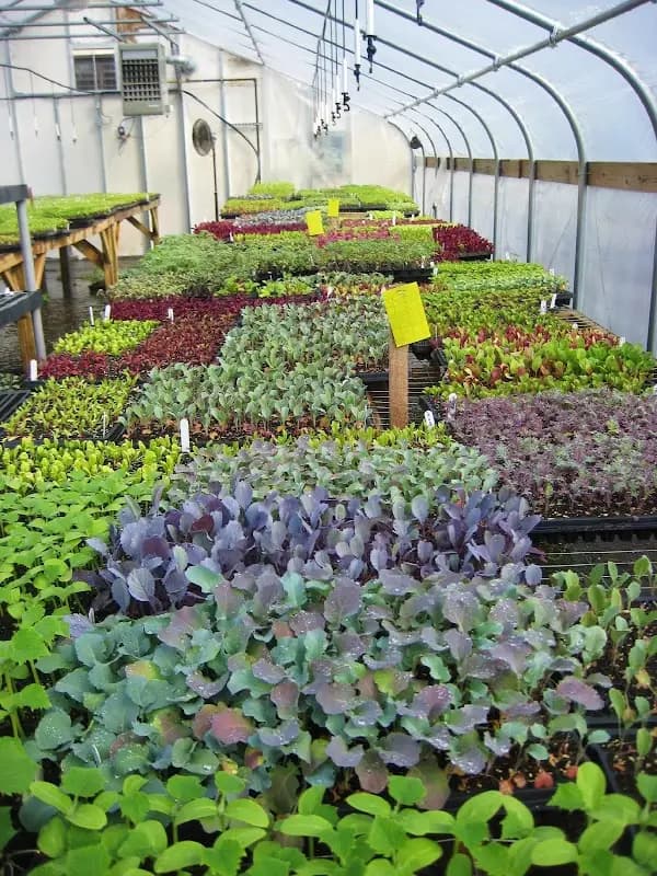 SHARE Food Program photo 2