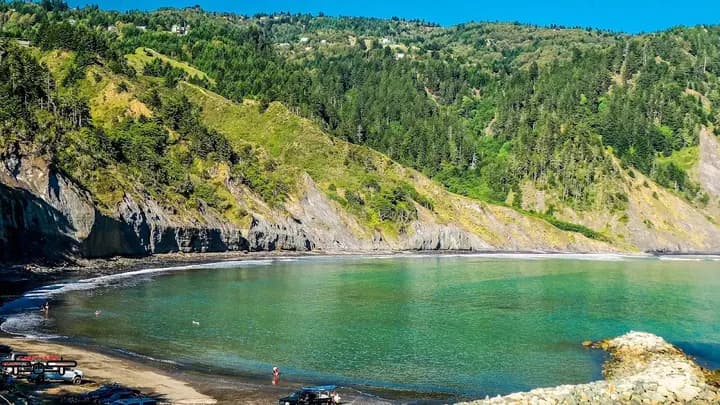 Shelter Cove CFM