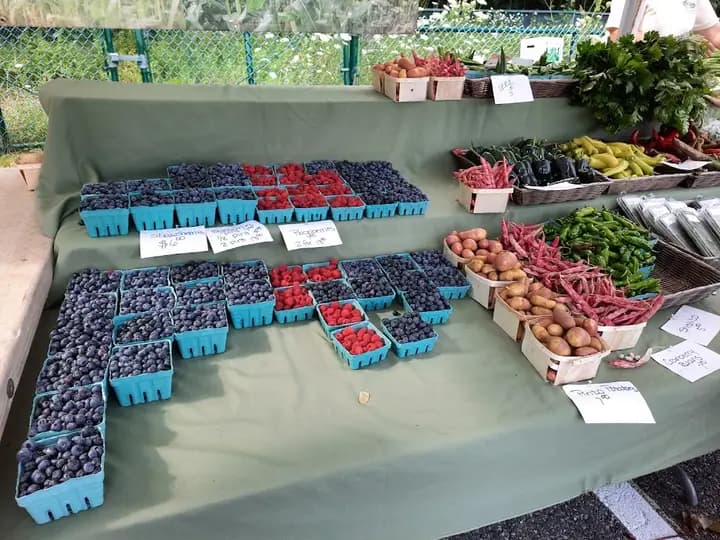 Shrewsbury Farmers Market photo 2