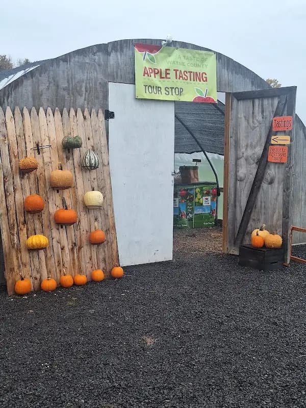 Sodus Farmers' Market photo 2