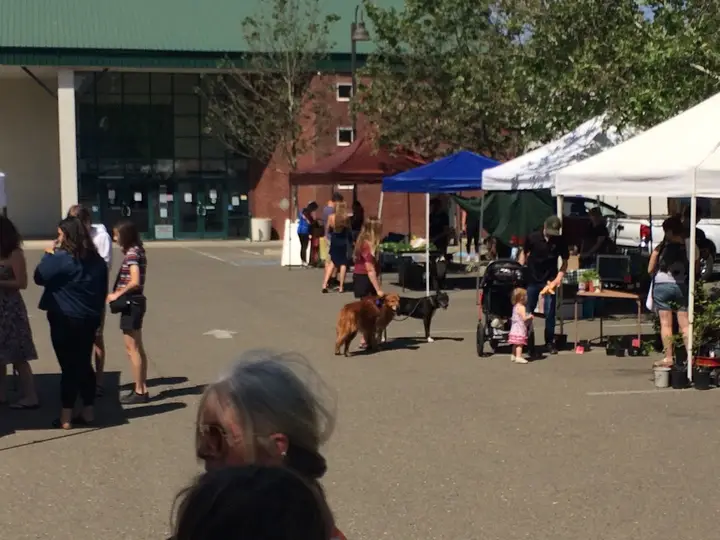 SOL Community Farmers' Market photo 2