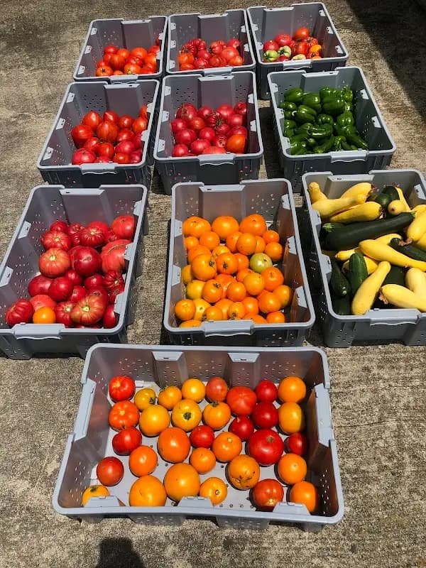 Somerset Farmers Market