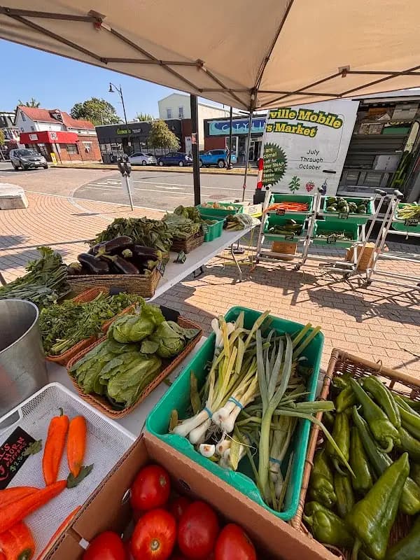Somerville Mobile Farmers' Market - East Somerville Community School
