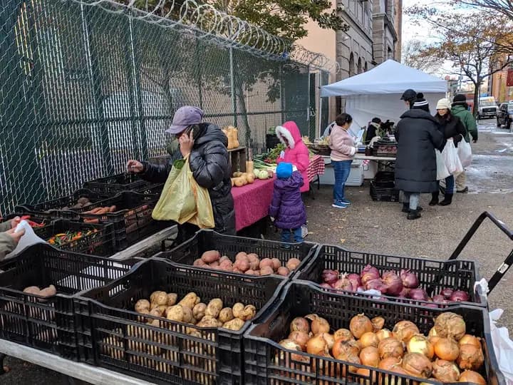 South Bronx Farmers Market