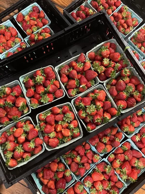 South Cumberland Farmers Market photo 2