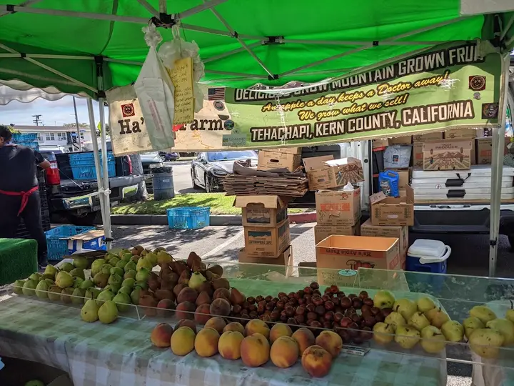 South Gate Farmers Market photo 2