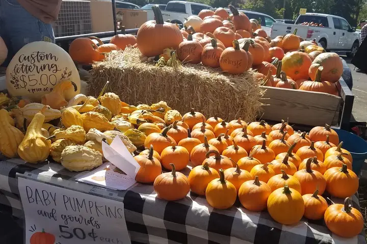 Spanish Fork Farmers Market