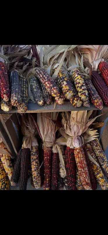 Spring Lake Farm & Garden Market photo 2
