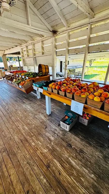 Springs Farm Farmers Market photo 2