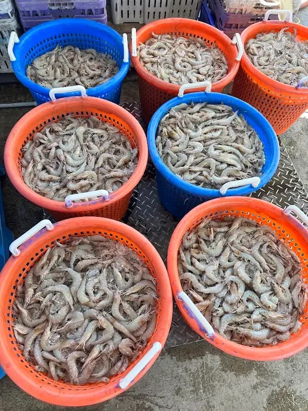 St. Bernard Seafood & Farmers' Market photo 2