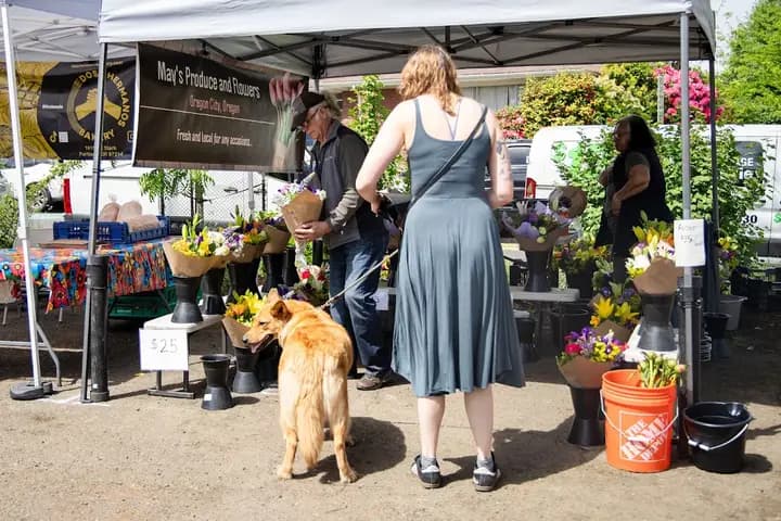 St. Johns Farmers Market