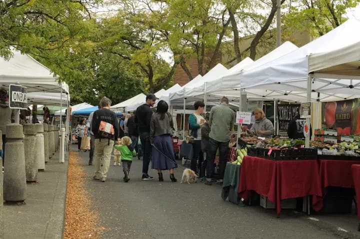 St. Johns Farmers Market photo 2