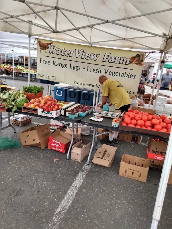 Stamford Farmers Market photo 2
