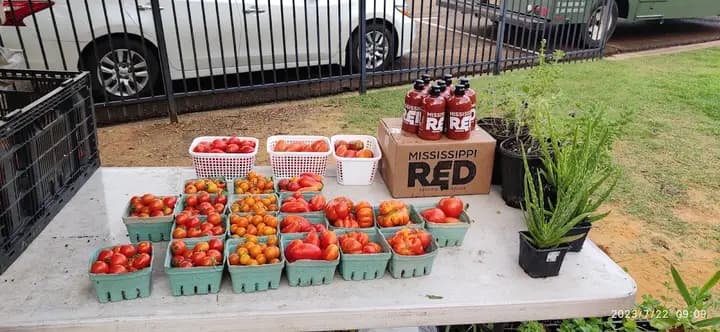 Starkville Community Market