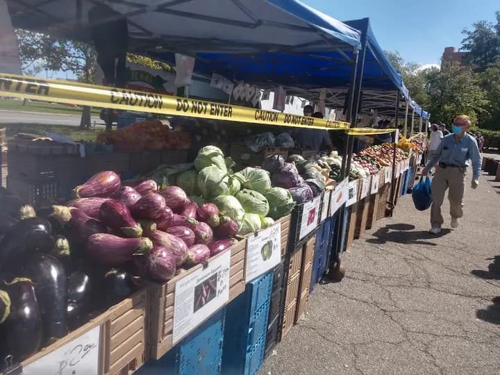 Staten Island Mall Greenmarket photo 2